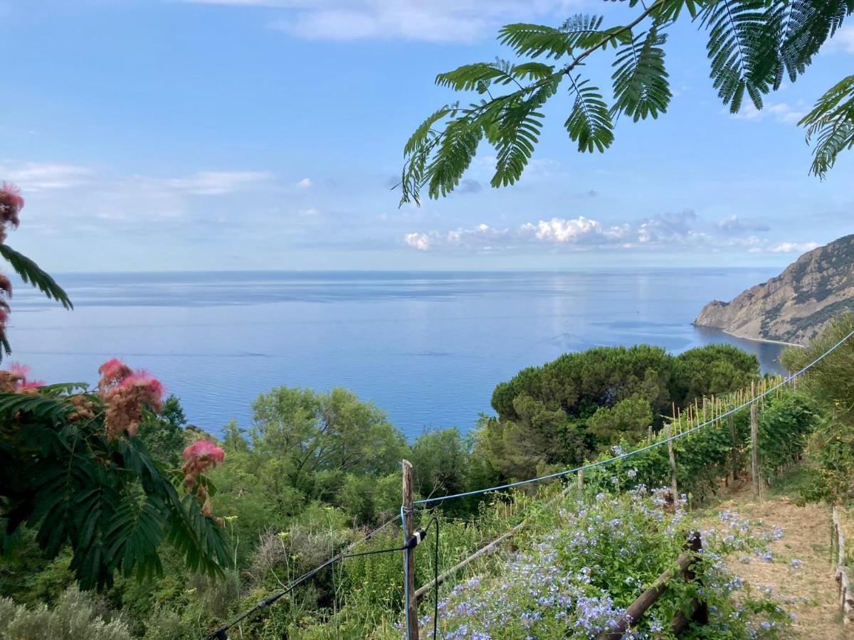 Villa Pietrafiore モンテロッソ・アル・マーレ エクステリア 写真