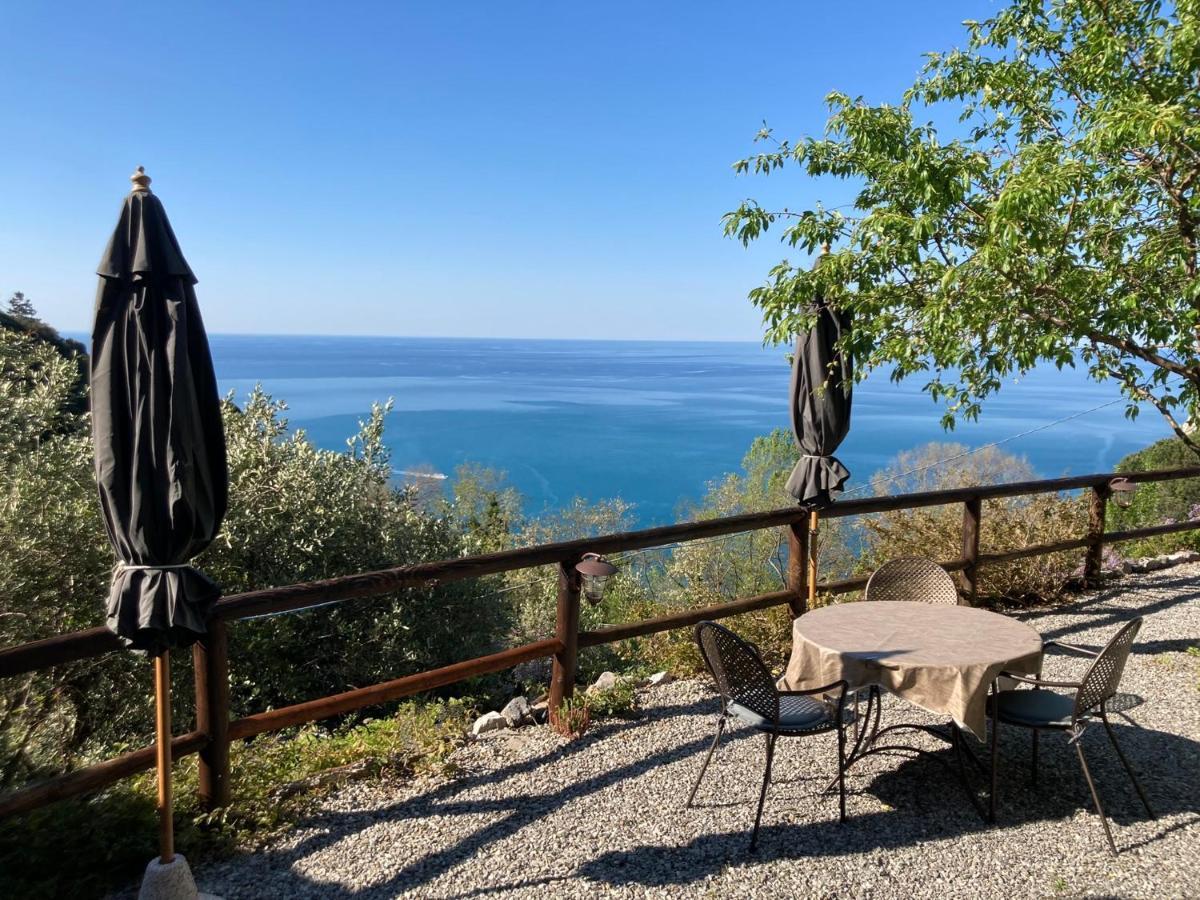 Villa Pietrafiore モンテロッソ・アル・マーレ エクステリア 写真