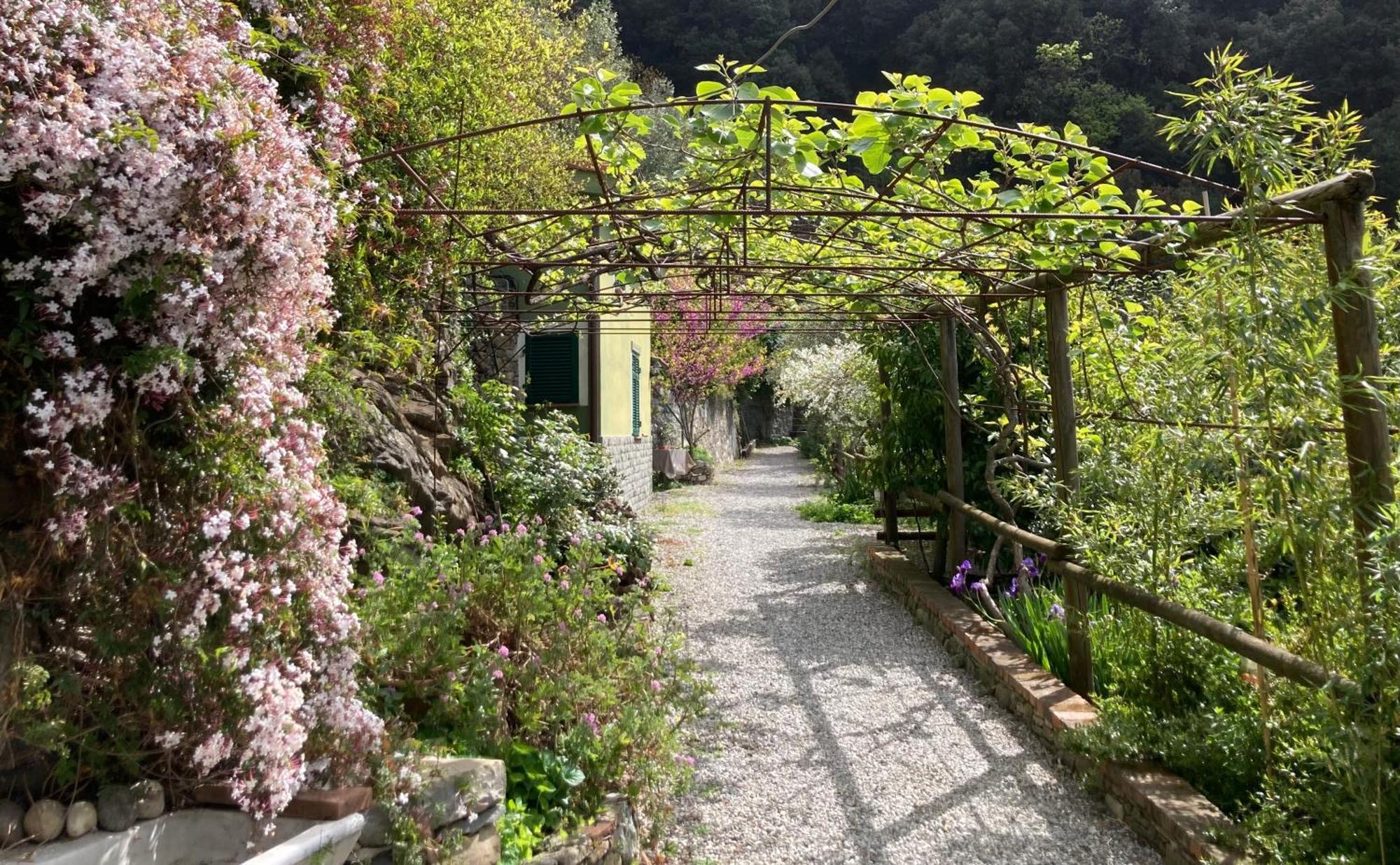 Villa Pietrafiore モンテロッソ・アル・マーレ エクステリア 写真