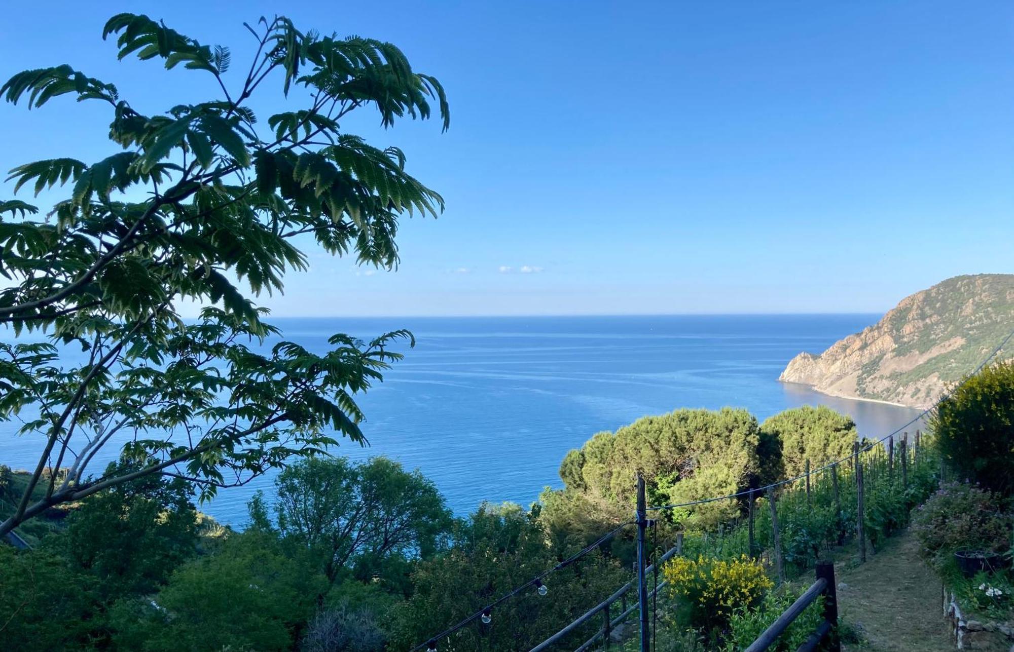 Villa Pietrafiore モンテロッソ・アル・マーレ エクステリア 写真