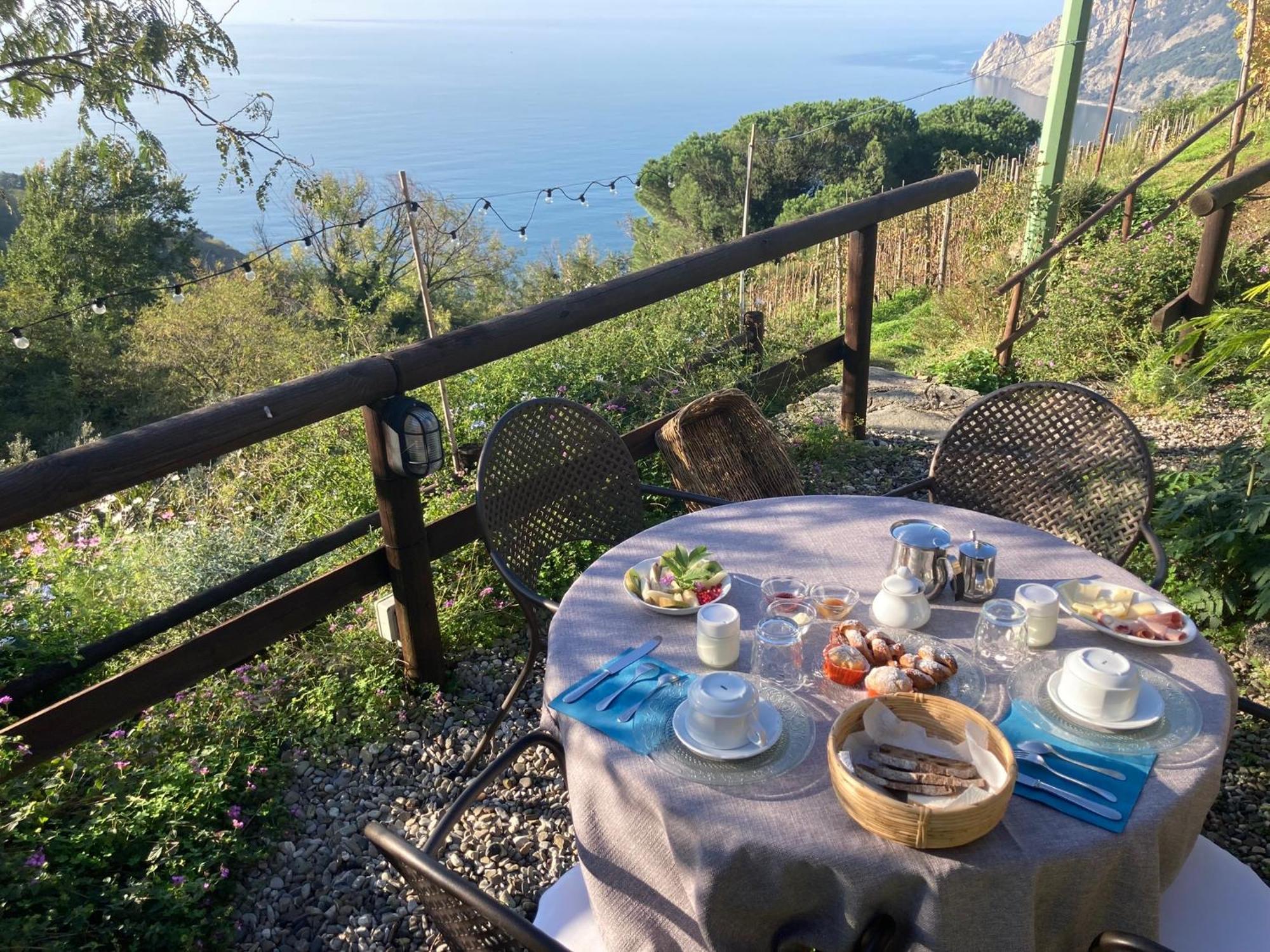 Villa Pietrafiore モンテロッソ・アル・マーレ エクステリア 写真