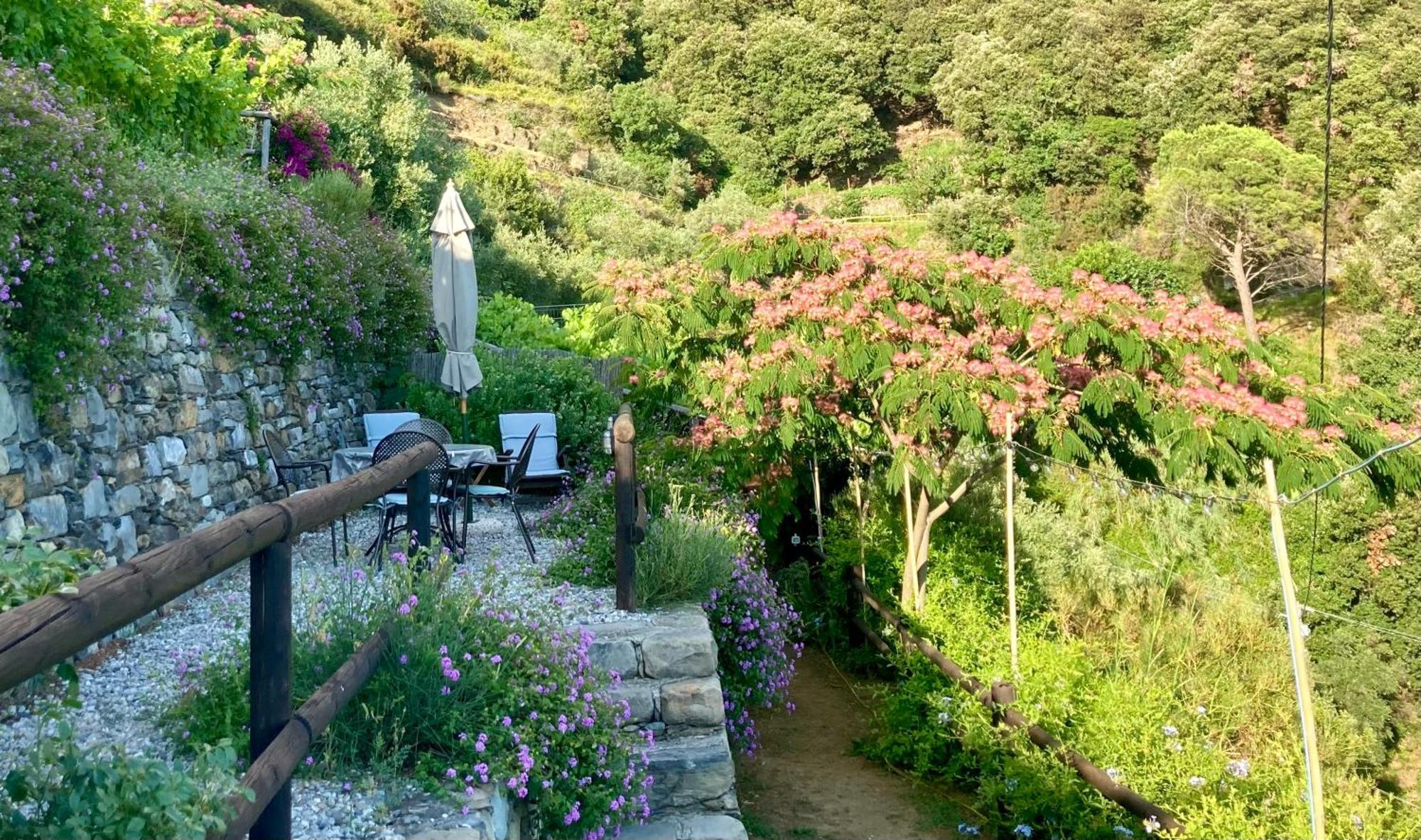 Villa Pietrafiore モンテロッソ・アル・マーレ エクステリア 写真