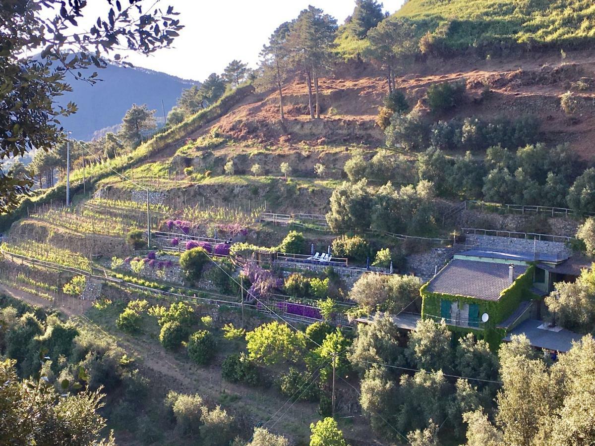 Villa Pietrafiore モンテロッソ・アル・マーレ エクステリア 写真